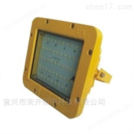 BZD158-04防爆免维护LED泛光灯