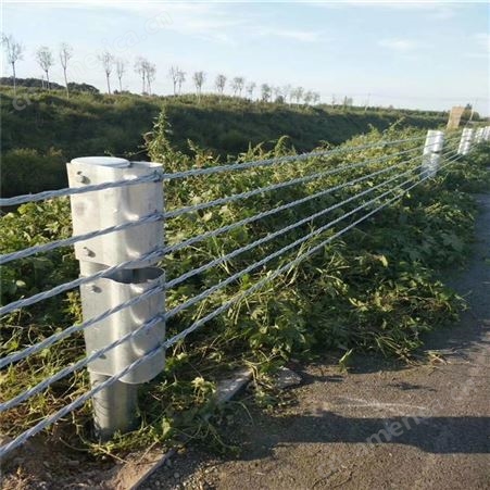 国隆厂家 公路缆索护栏 六索柔性护栏 欢迎来电 柔性护栏