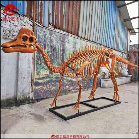 仿真霸王龙牛龙骨架化石模型大型仿真恐龙制作厂家自贡恐龙模型厂