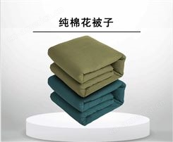 纯棉四季被子 床上用品 冬被加厚棉被芯4-10斤加工