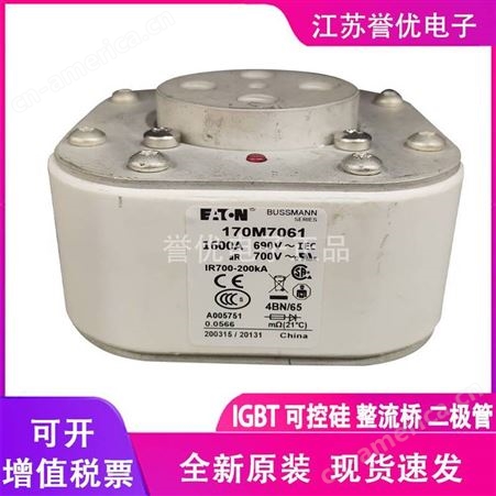 170M8550进口原装巴斯曼熔断器保险丝-江苏誉优电子代理