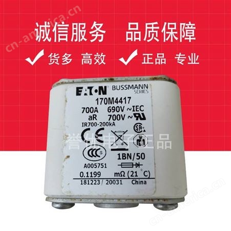 170M4418 170M4417 170M4419进口巴斯曼熔断器保险熔断体-江苏誉优电子代理