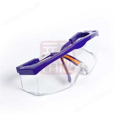 霍尼韦尔 100100 S200A防雾防刮擦防护眼镜
