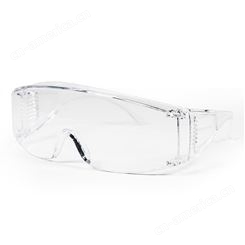 霍尼韦尔100002VisiOTG-A透明防雾镜片访客眼镜