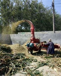 厂家直供 农用铡草机 稻草秸秆碎草机 青饲料秸秆揉丝机