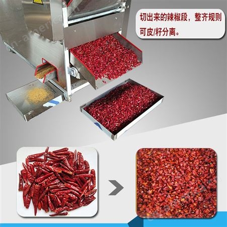 500型自动下料辣椒切段机 商用辣椒切段机皮籽分离