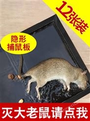 老鼠神器老鼠贴强力粘鼠板强力胶粘大老鼠捕鼠灭鼠家用老鼠一窝端