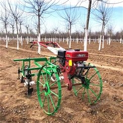汽油动力170覆膜机 土豆辣椒全自动农用地膜覆盖机起垄地面盖膜机
