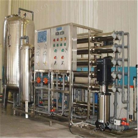 EDI超纯水设备 净水过滤设备 食品行业水处理净化设备 罐头用水设备