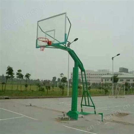 篮球架 海燕式篮球架 凹箱式可移动篮球架 平箱式篮球架